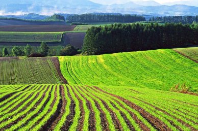 В ЗКО защищены права на продление договоров аренды сельхозземель