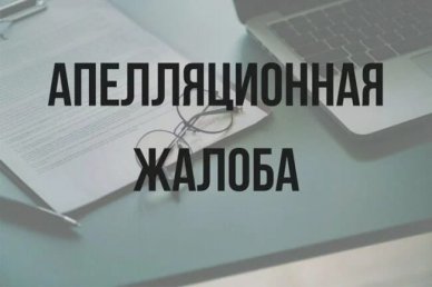Бизнес-омбудсмен встал на защиту Л. Коккозовой в апелляционной инстанции
