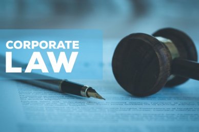 Бизнес-омбудсмен инициирует реформирование корпоративного права